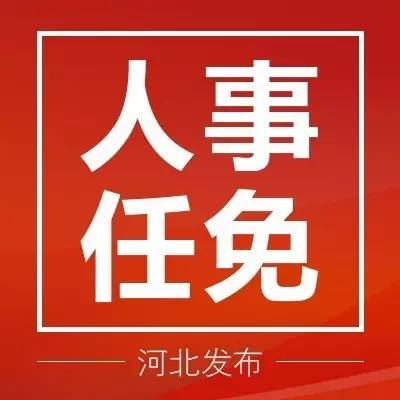 河北三市最新人事任免动态