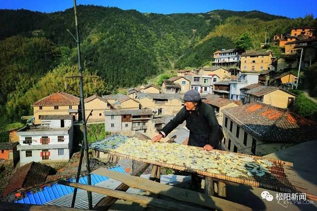 松阳两大基地卓越建成，展现典范