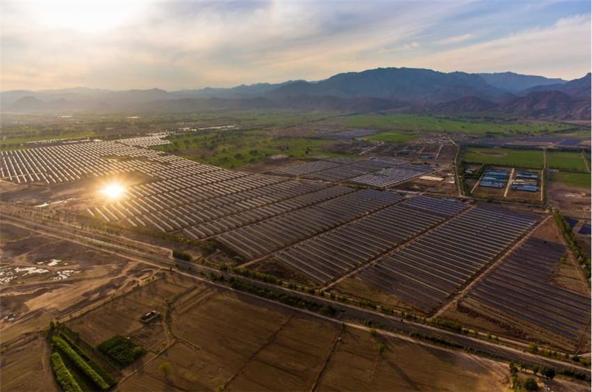 盐碱地里的种太阳，光伏板新用途与潜力探索