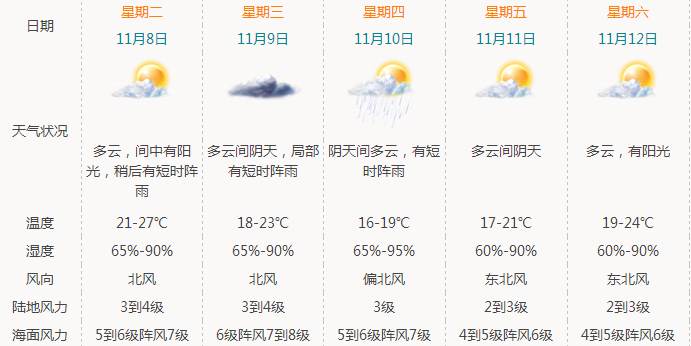 2024年11月21日 第10页