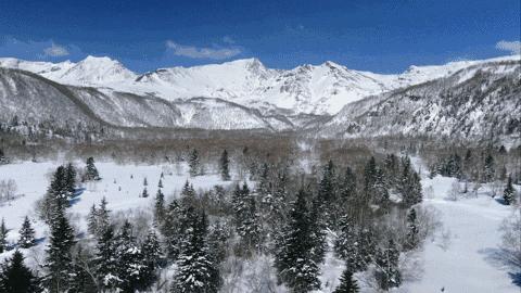 韩国地铁播放视频揭秘，中国大爷遭遇东北虎追踪的惊险之旅