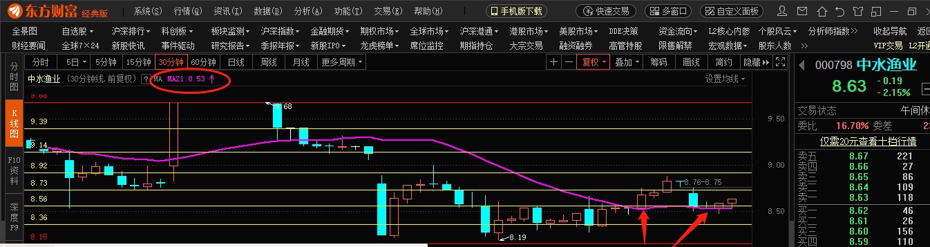 解读个人走势图，揭示数据背后的深层含义与趋势预测